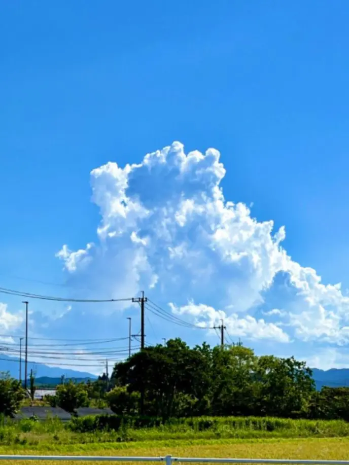 GaudyBison4670의 双黒と一緒にのんびり旅をしよう