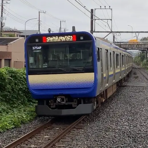 SobuLineRapid235Series의 女神様！何か手伝いましょうか！？