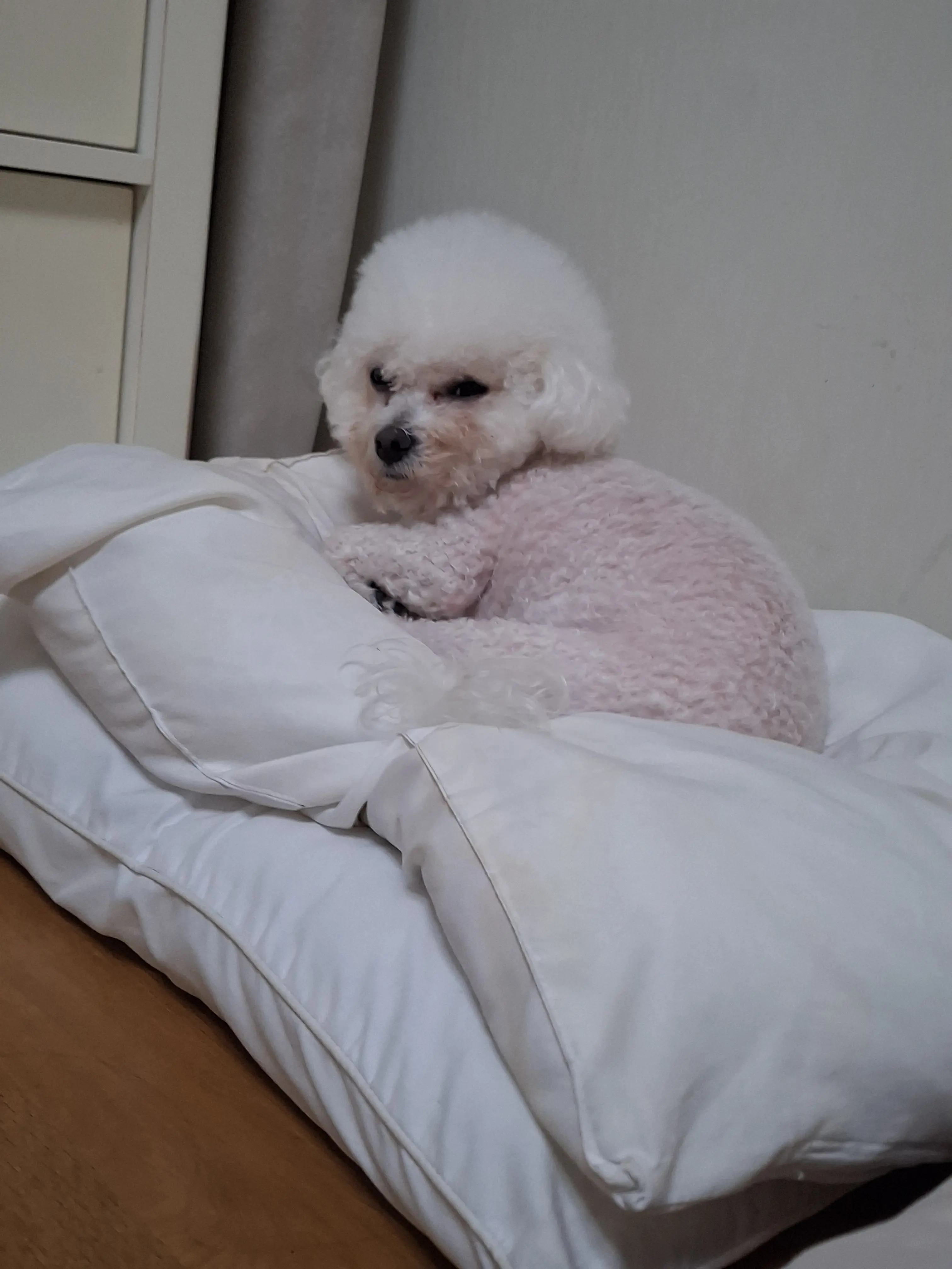 Tol2_Teolnal2_PayMe2의 (컨휴) 워터파크가기!