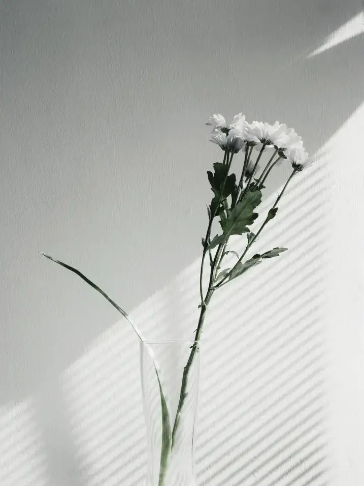 Taka_heeeeee0205의 管理人