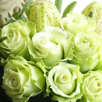 hibari_Happy.birthday의 inm . ri