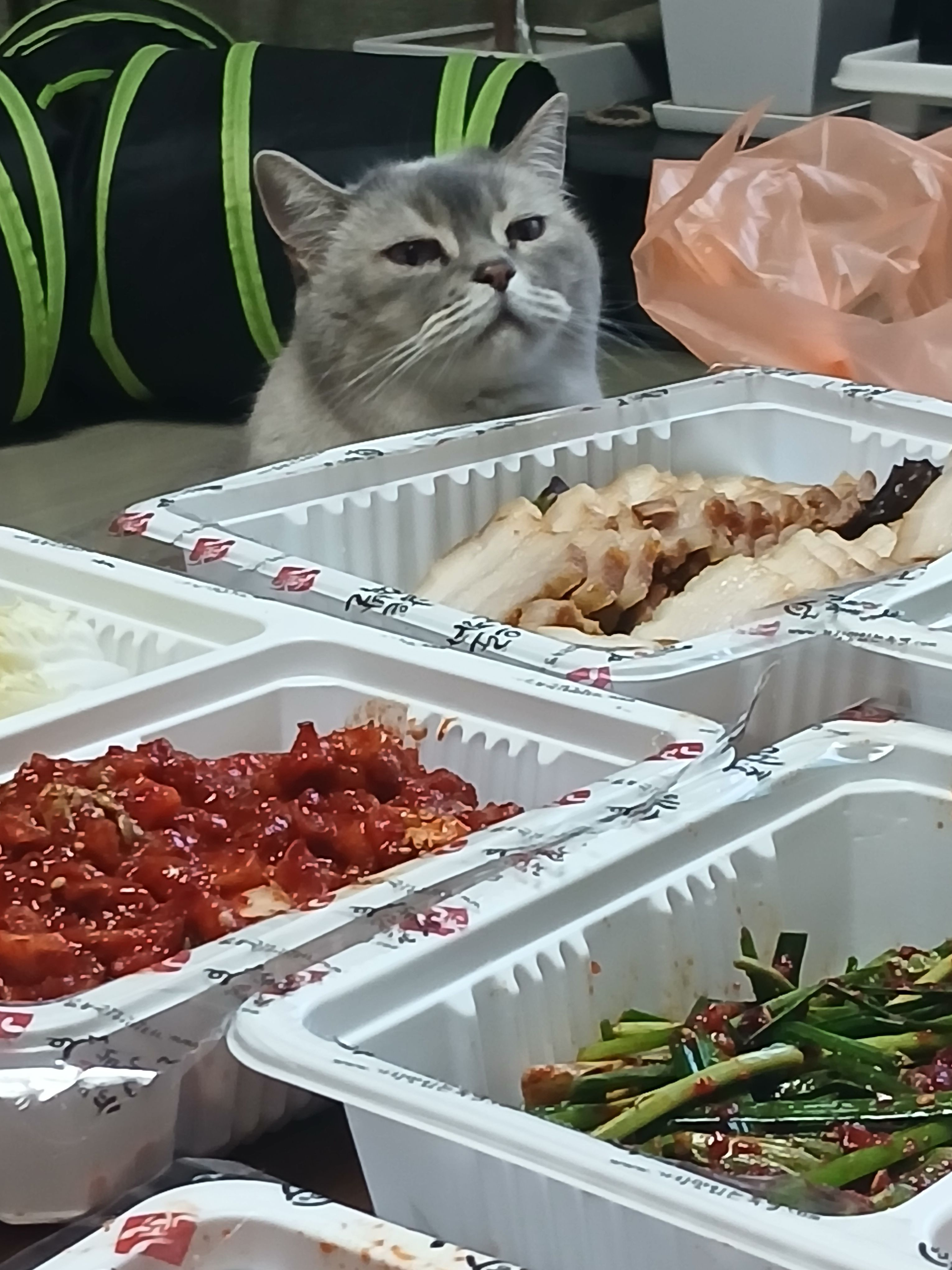 중2생활 ㅈ됀것같기도? 대표 이미지