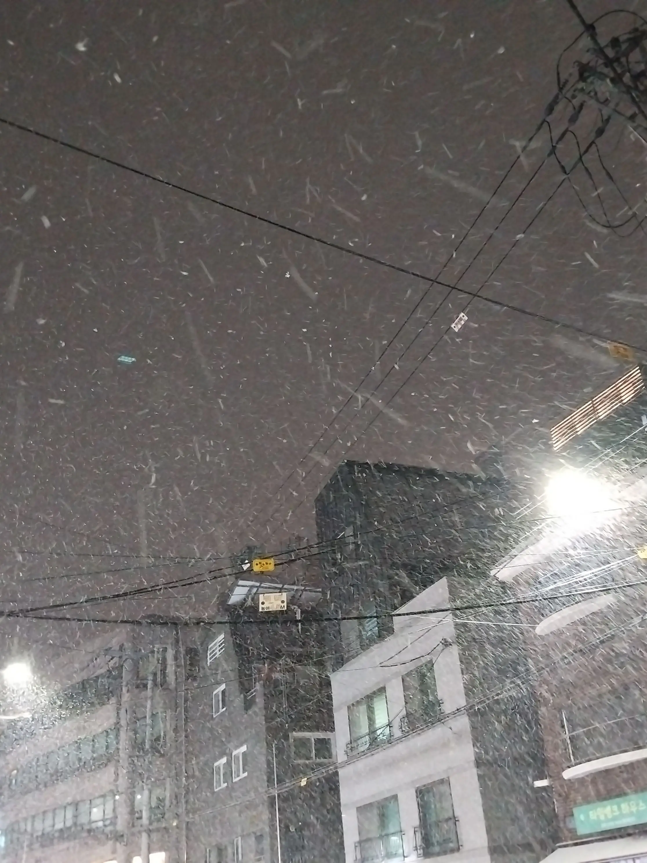 sixseven67_gg의 야르