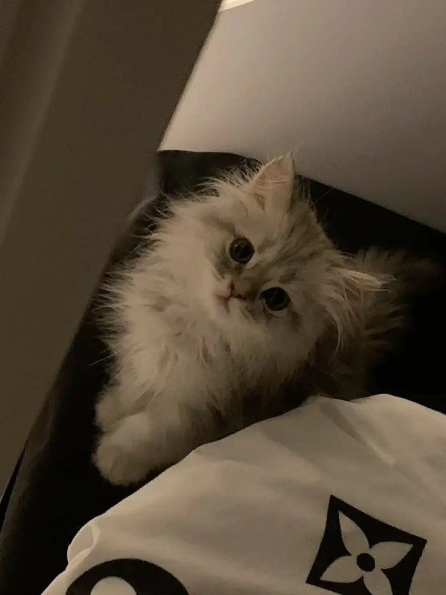 .....ux의 秘密♡