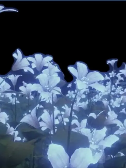 Itib_0209의 Cursedfollower