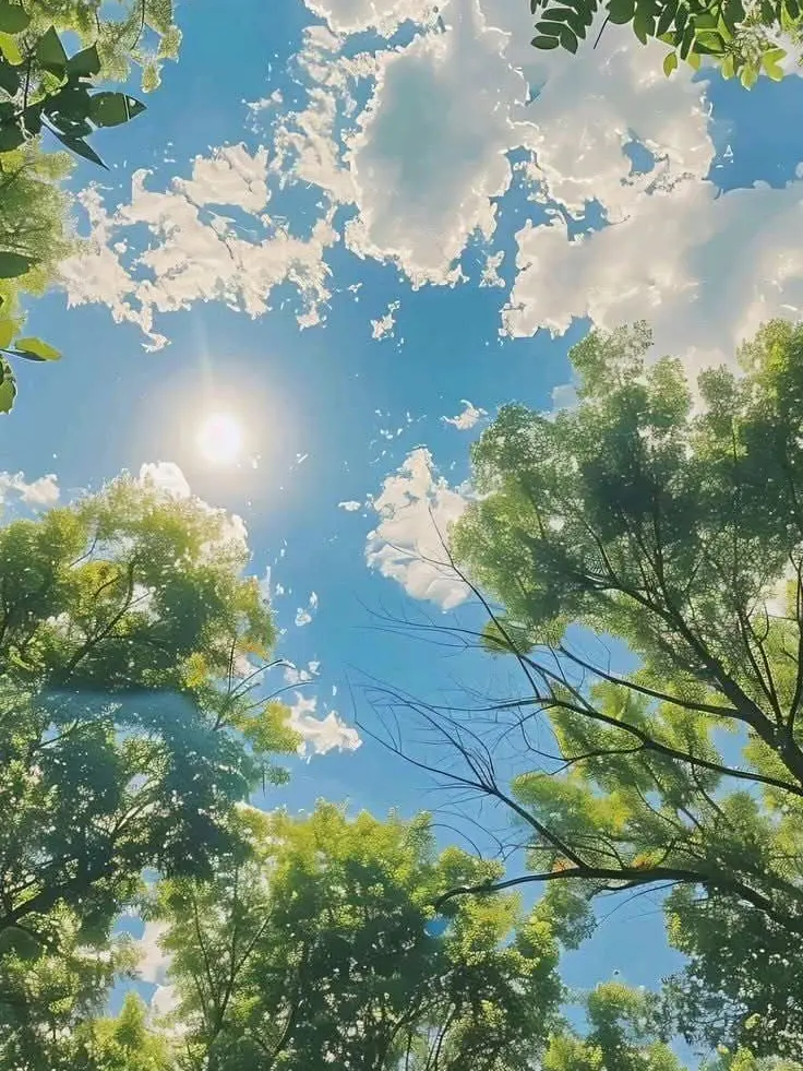 wolf1010의 슼즘 - 독감