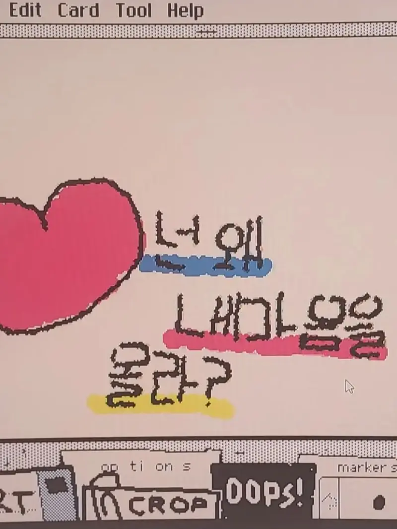 y_cn.0의 아들만 4명인 집에 드디어딸 출산 !
