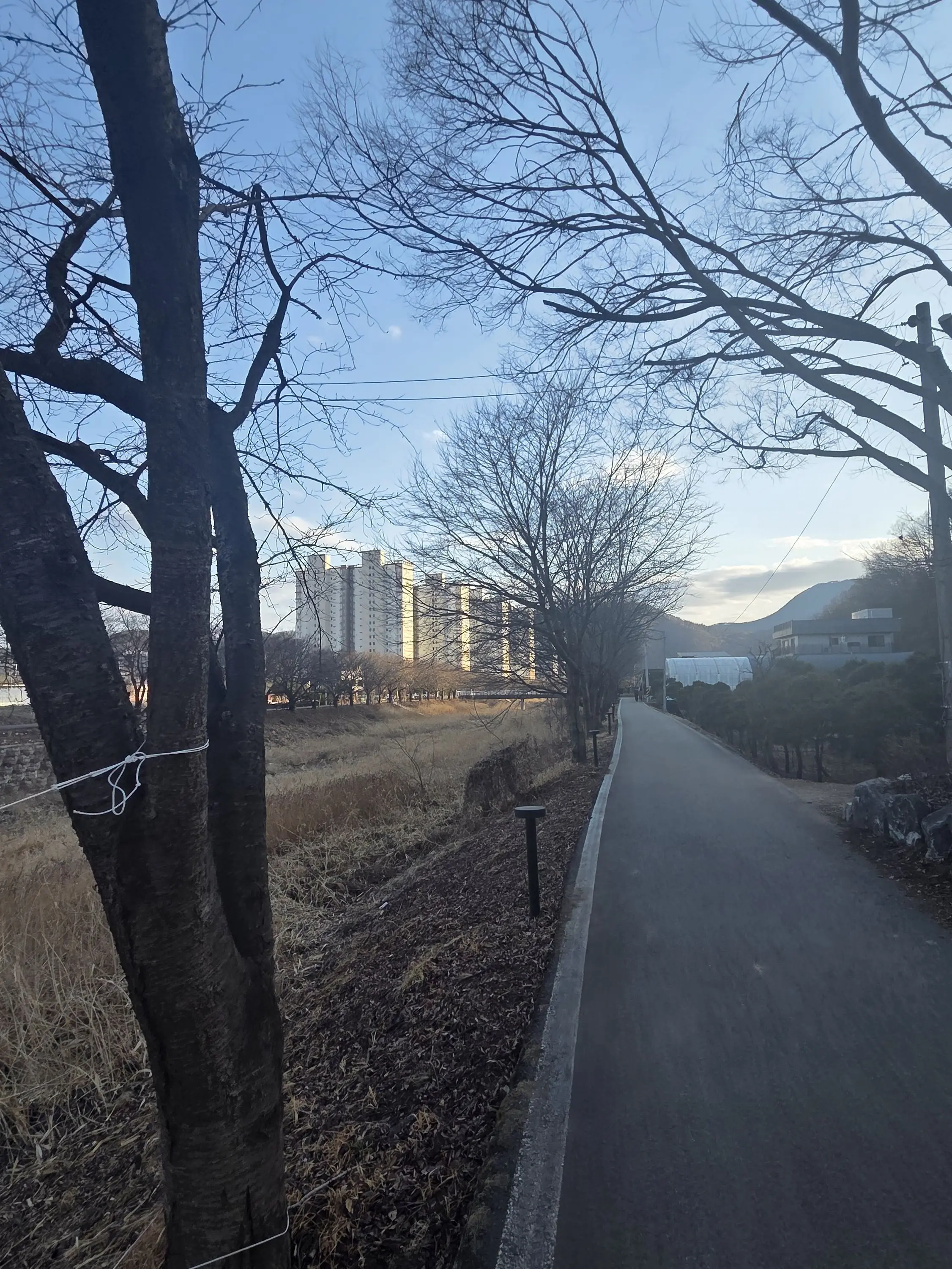 Shinji_sky의 정신적으로 문제 있는 친구