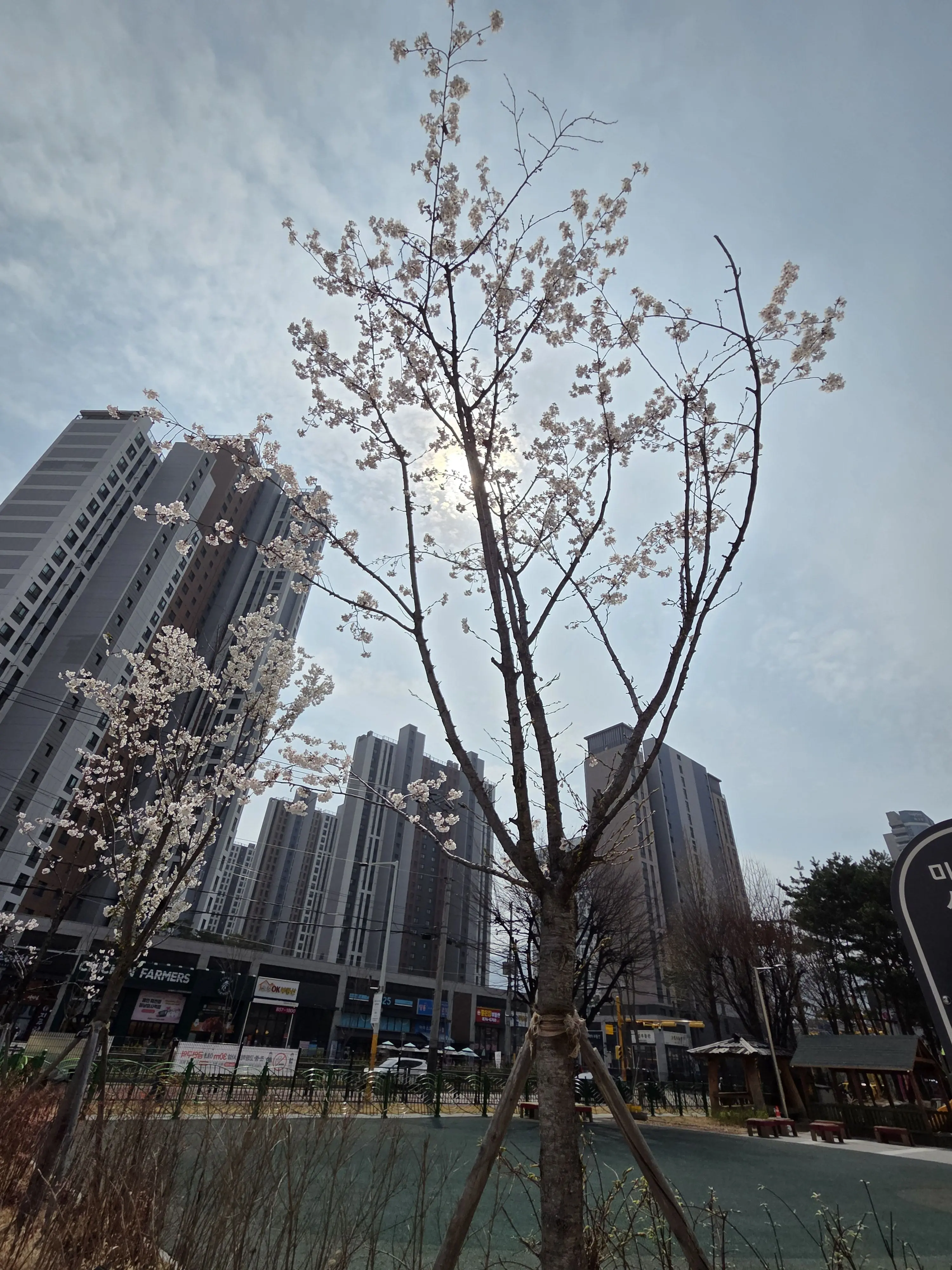 JoyfulOcean6793의 귀멸의 칼날 좀비편