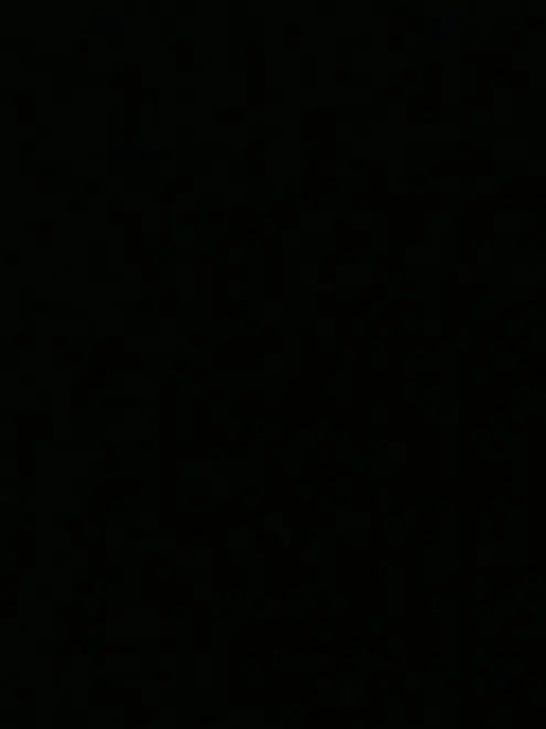 0-nono-0의 報告