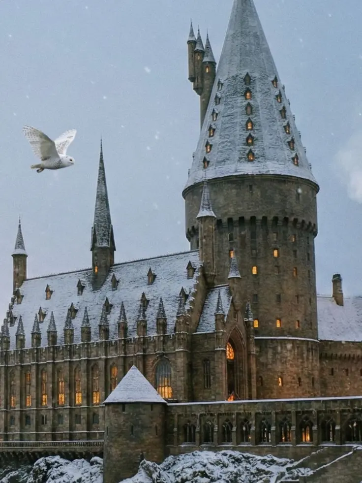 InlandElbow5089의 기차 안에서 만난 친구들