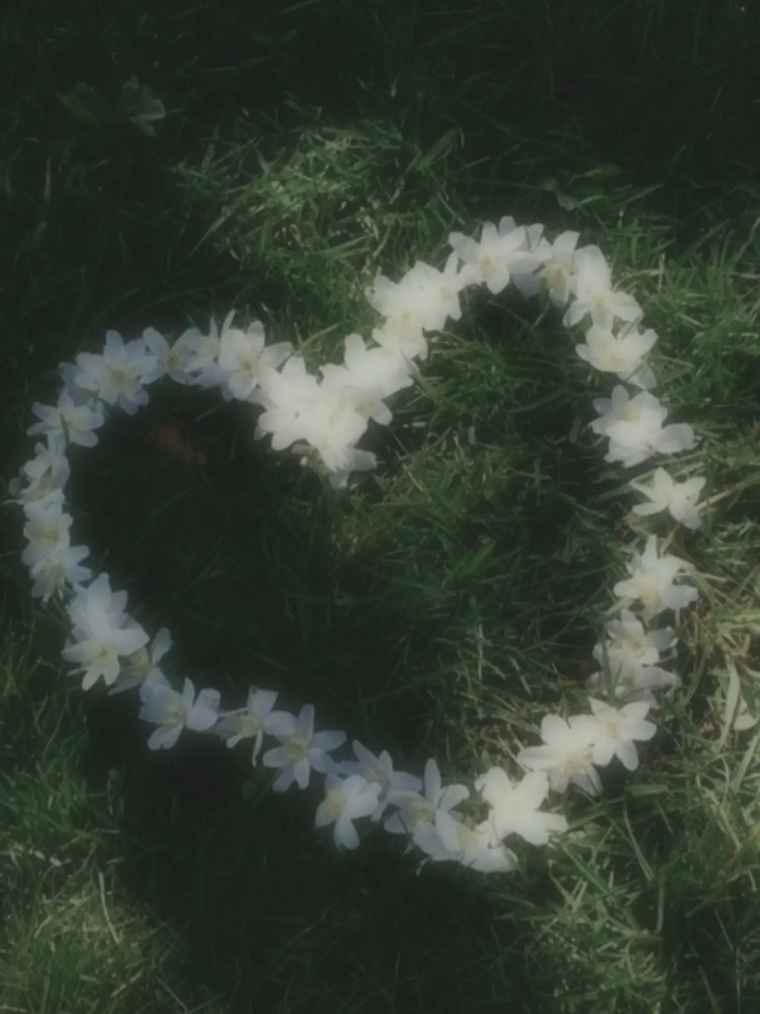 ..09의 꽃의 사랑