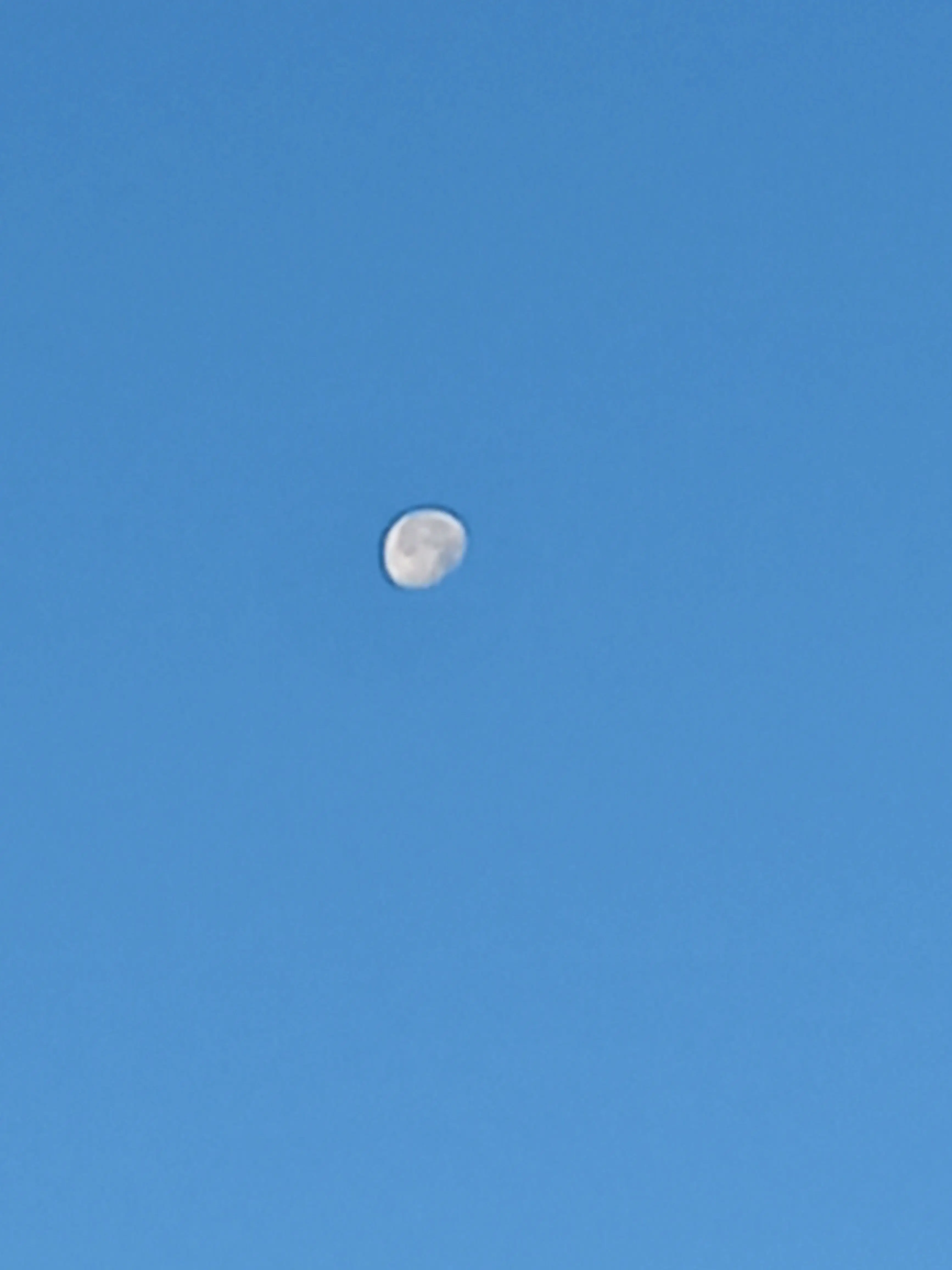 YunHaLee의 고고프렌즈&팀나빠&집사tv&로빈tv