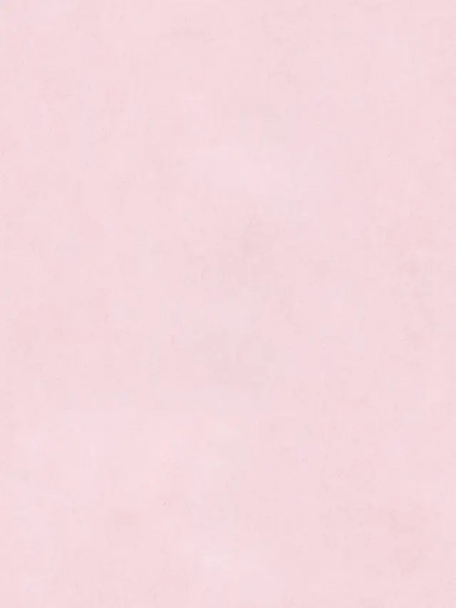 ArdentLadle0403의 吸血鬼の私