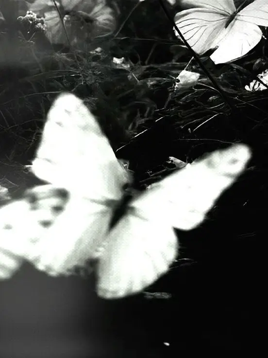 Paradies_here의 ㅤ