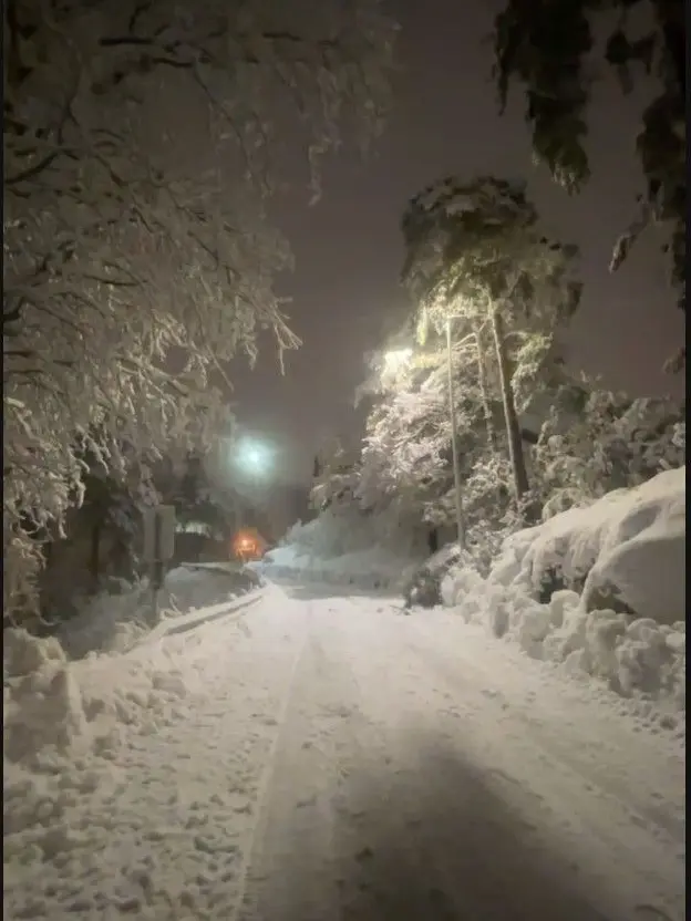 RowdyFence4497의 Snow day