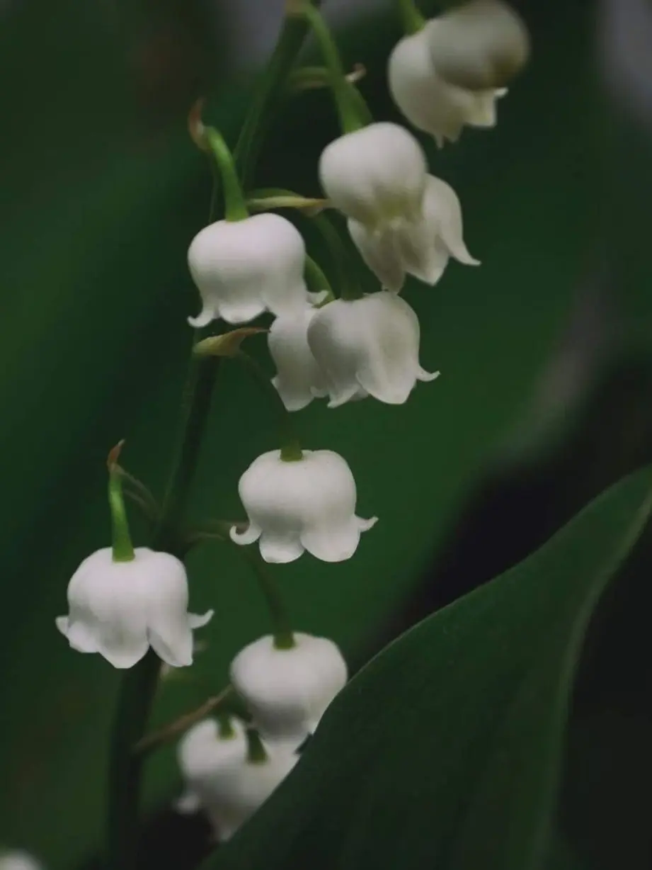 RegalTail7184의 행복이 다시 찾아오기를.