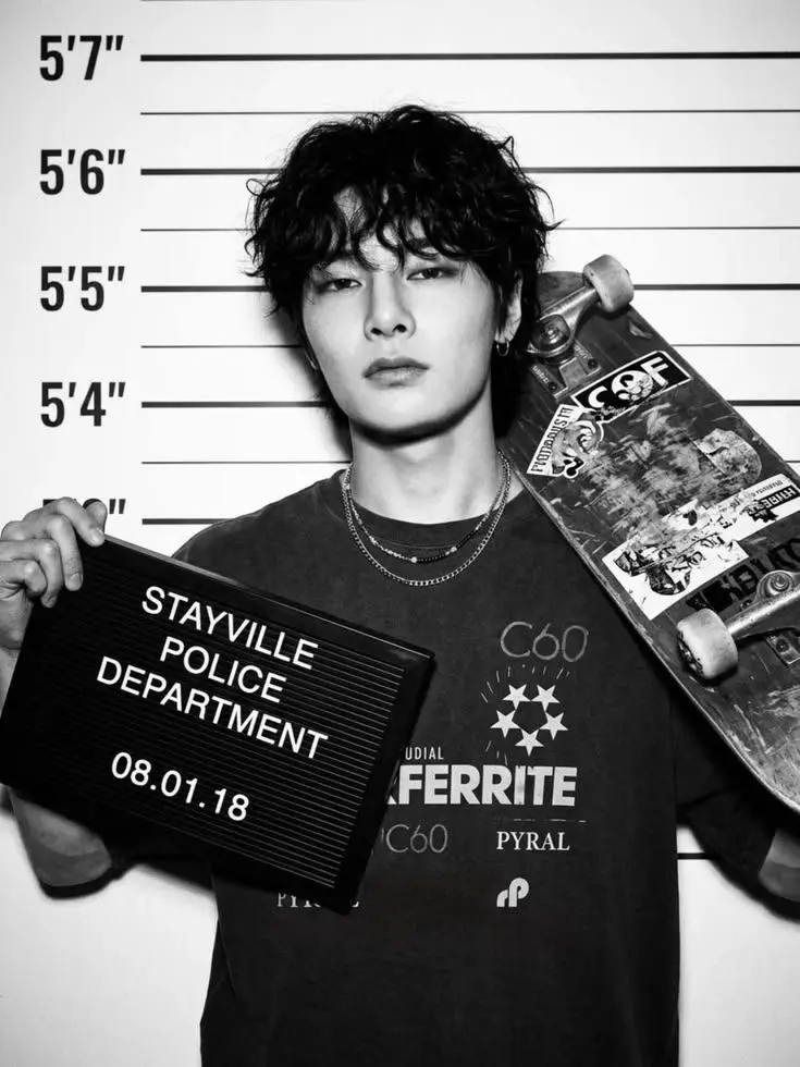 Silly_Swirly_Girly의 Stray Kids Arrested Allies