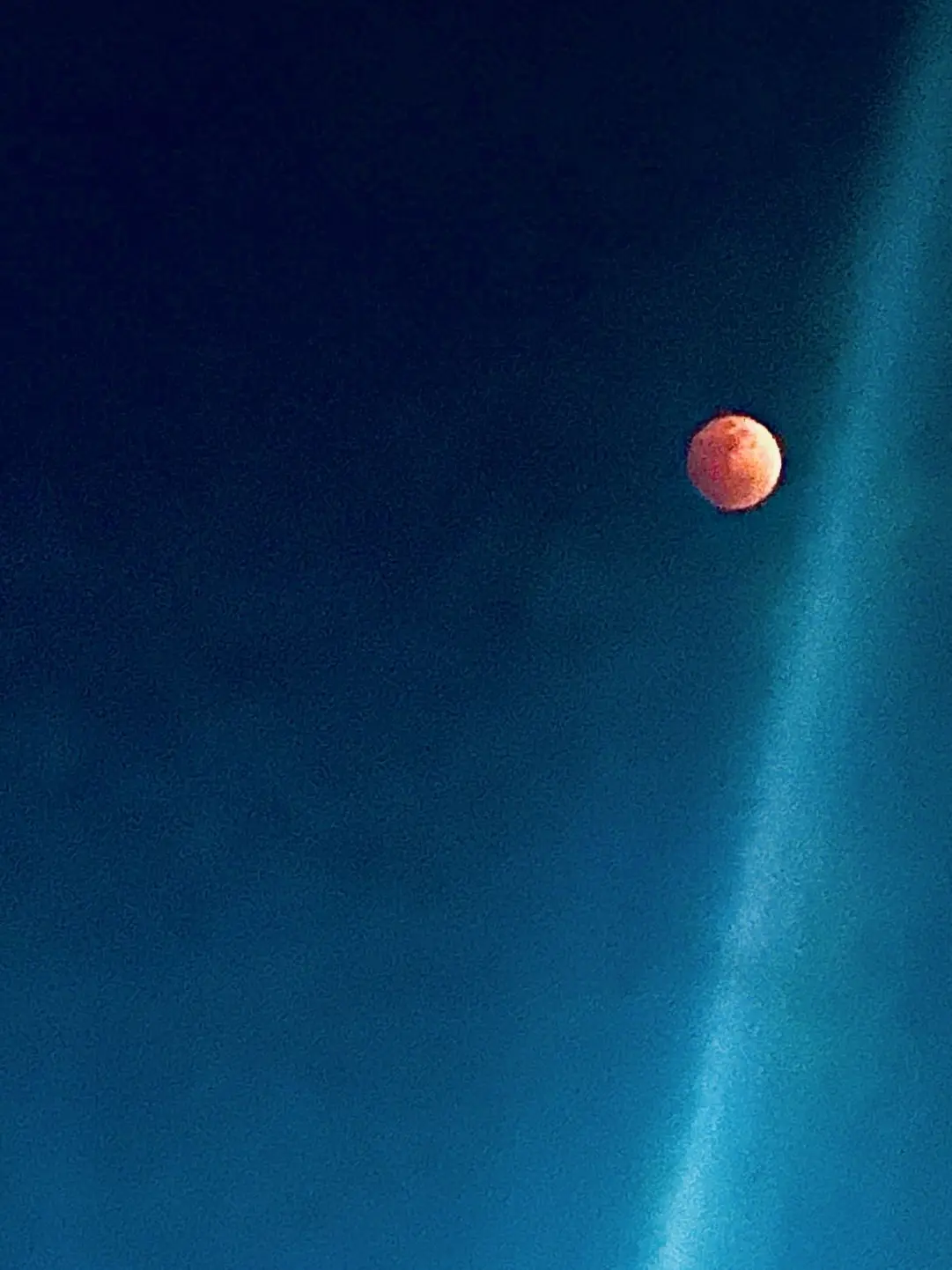 omijasnowman의 귀멸 배우