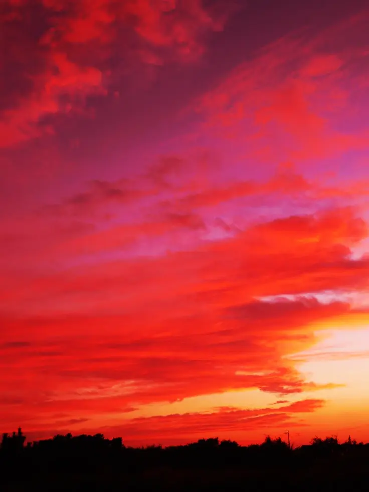 Vinegar_Flog의 境目の夕焼け
