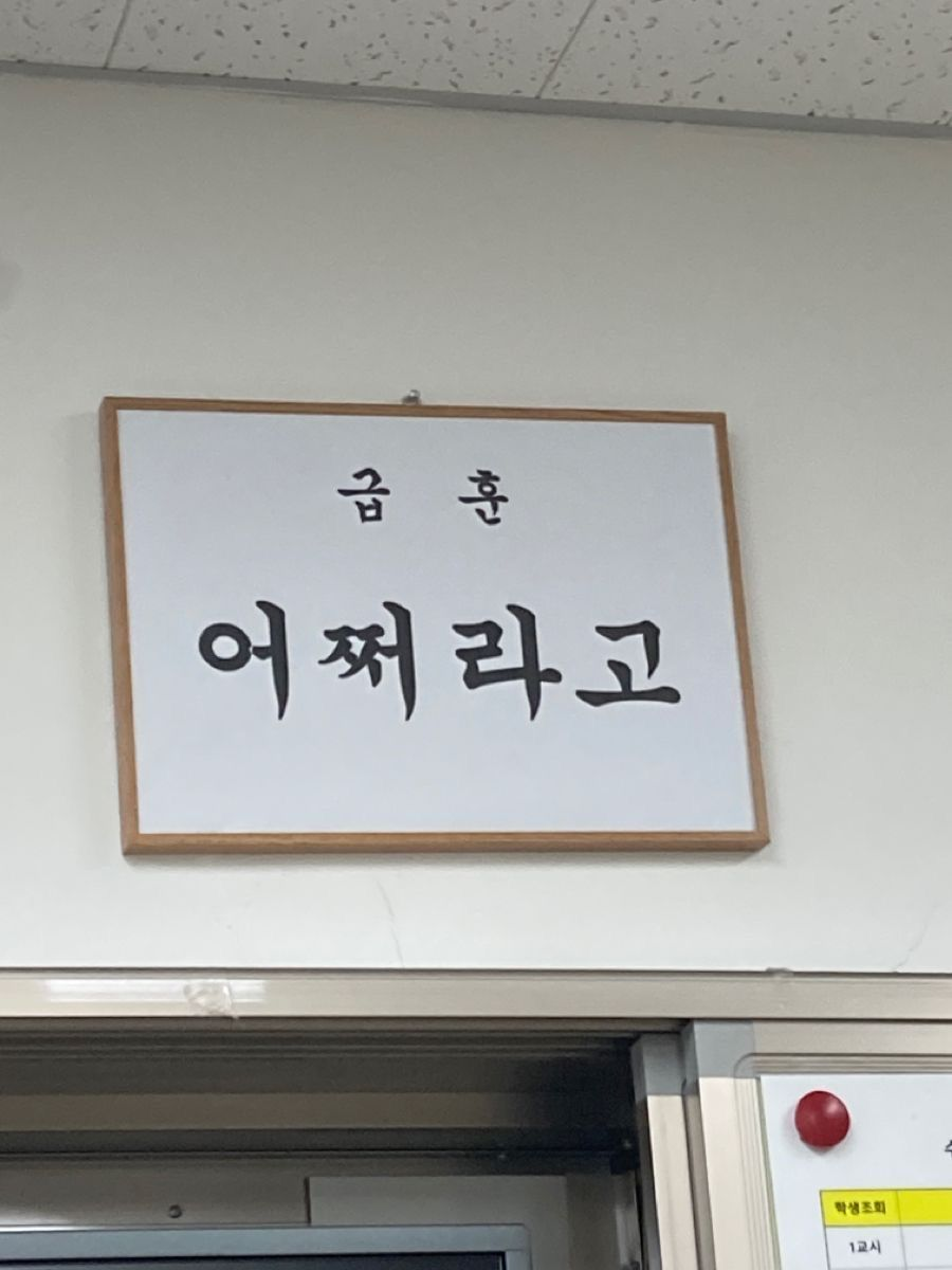 2p뜰팁,팀샐 대표 이미지