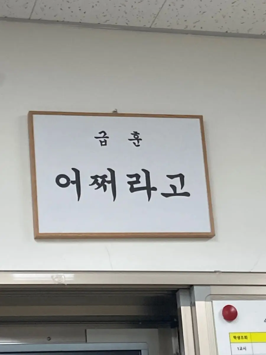 LeftBird7282의 2p뜰팁,팀샐