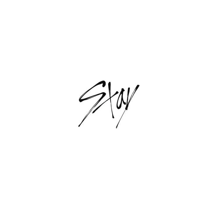 스트레이키즈