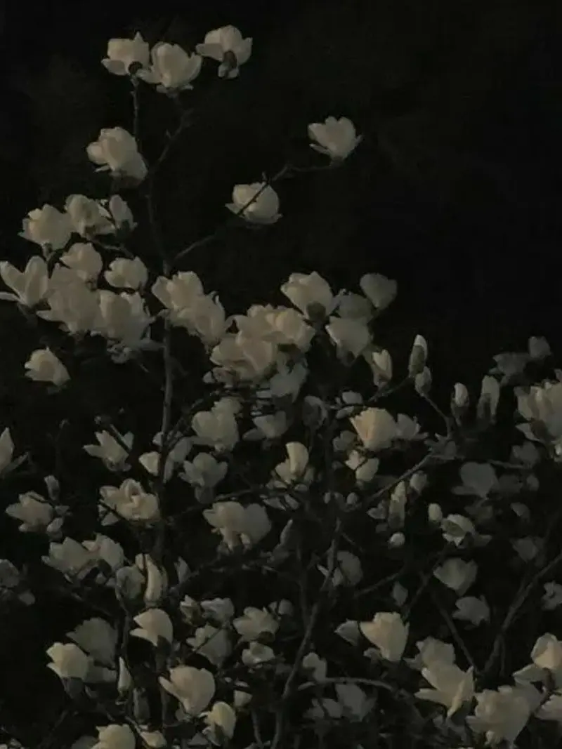 L_nxv의 What is Happiness? (Private)