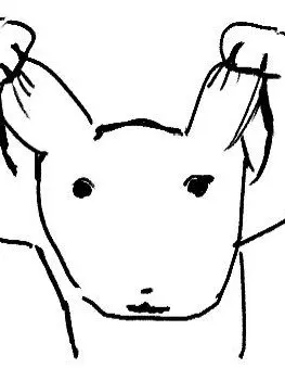 koiluv_의 개폐급 삼인방