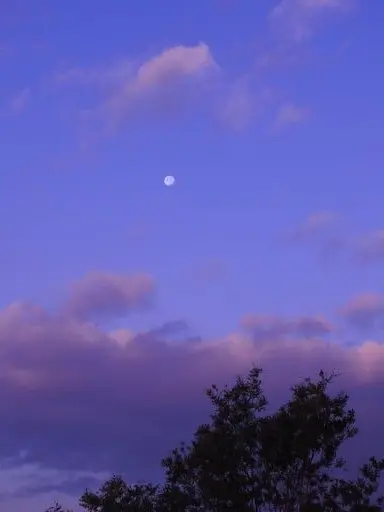 IAN_.의 미스터리 수사반 2 [휴가]