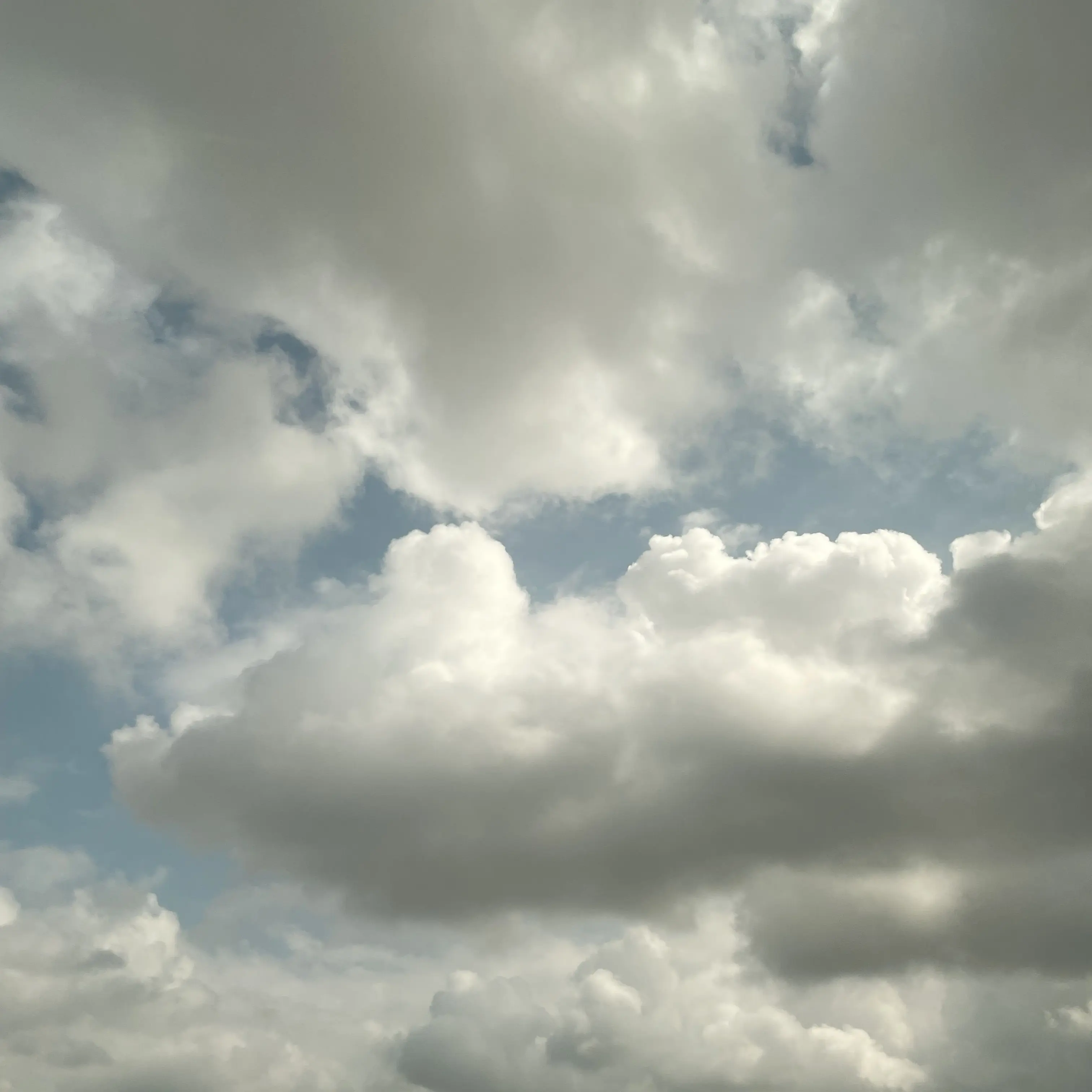 NICKNAME7552의 빅딜