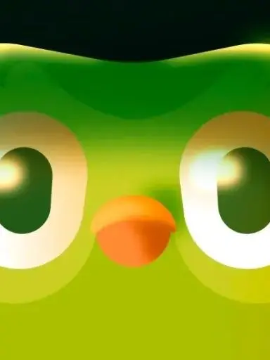 fjdostsjej의 스킼즈 조직