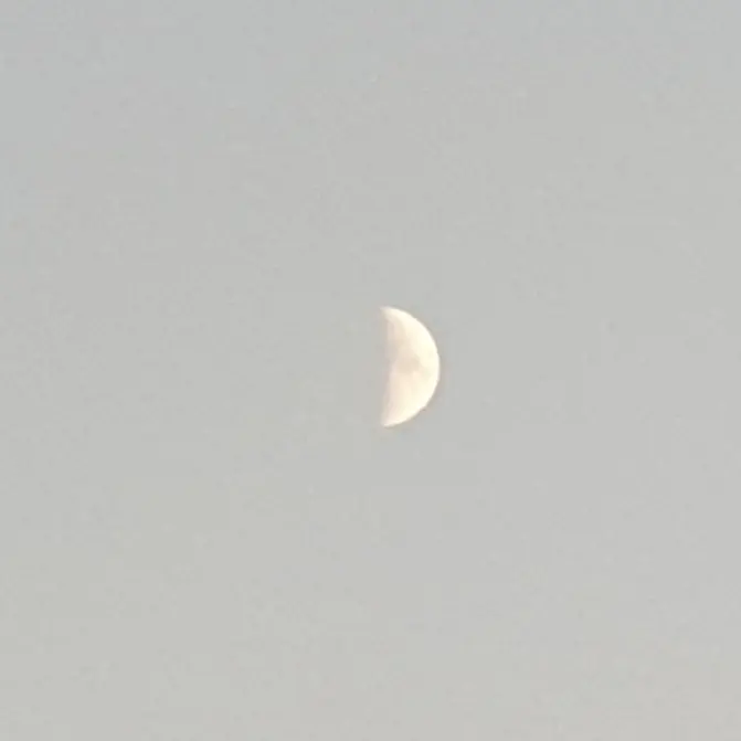 wholedayproject0623의 8왕자 알디원