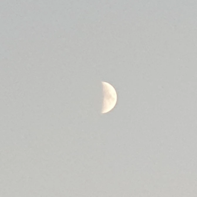 8왕자 알디원