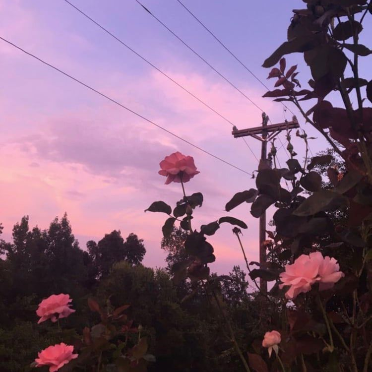 김일영 대표 이미지