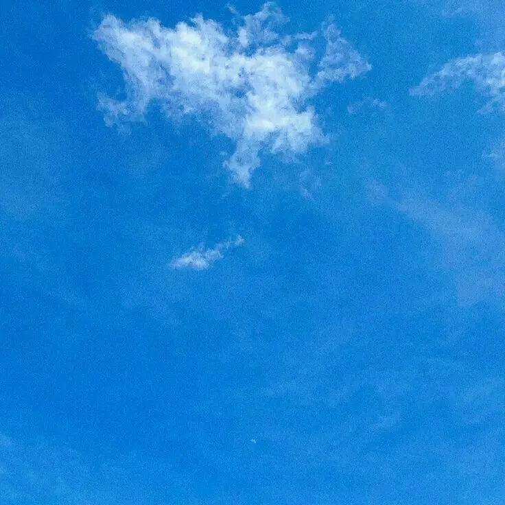 FRUITBAT의 "늘 함께 있고 싶은 사람"