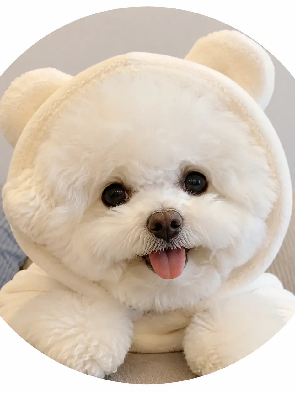iiiadth8888의 엄청난 영어학원