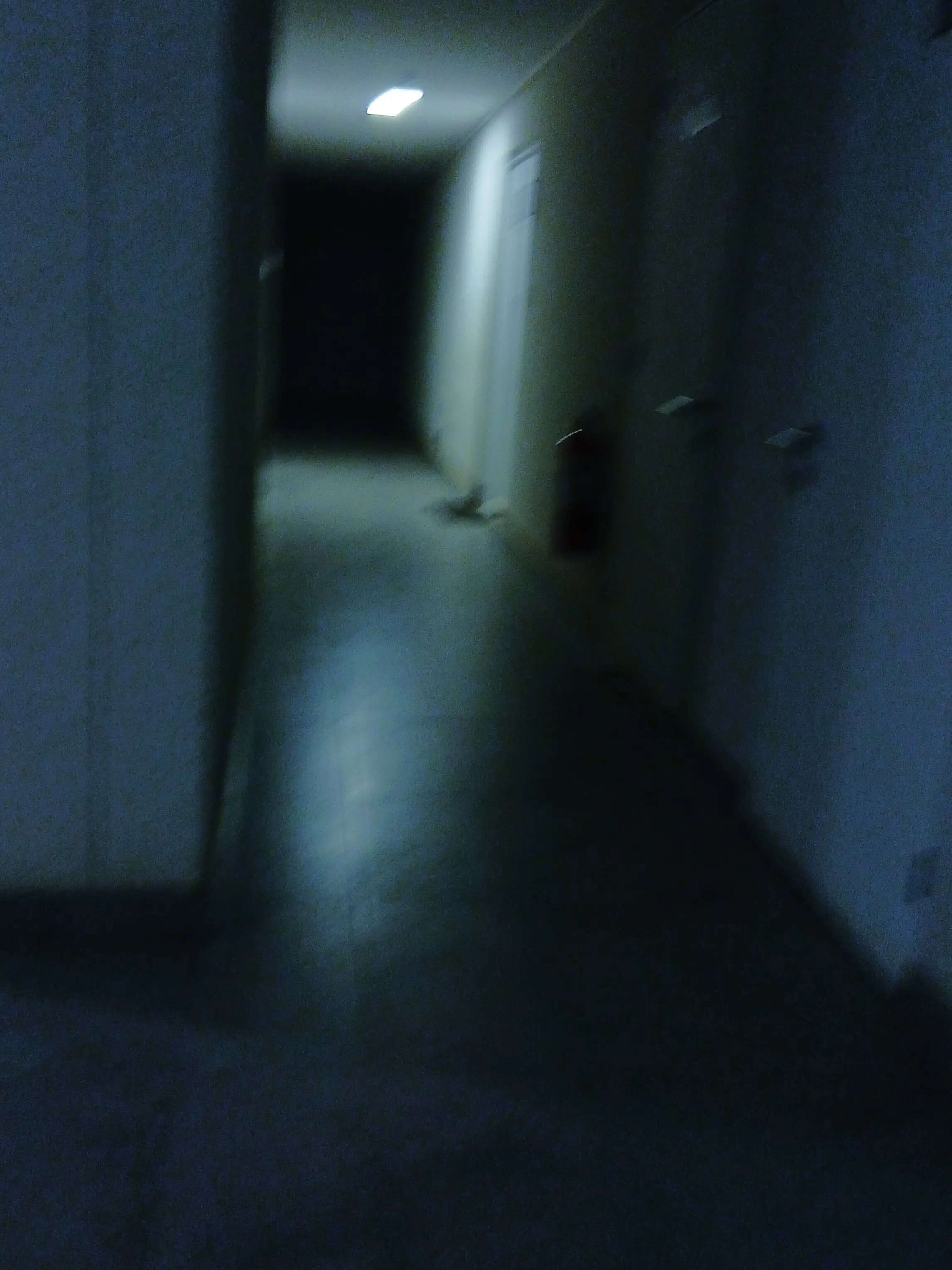 zera1109XD의 ℝ𝕆𝕐𝔸𝕃𝕋𝕐 . . .