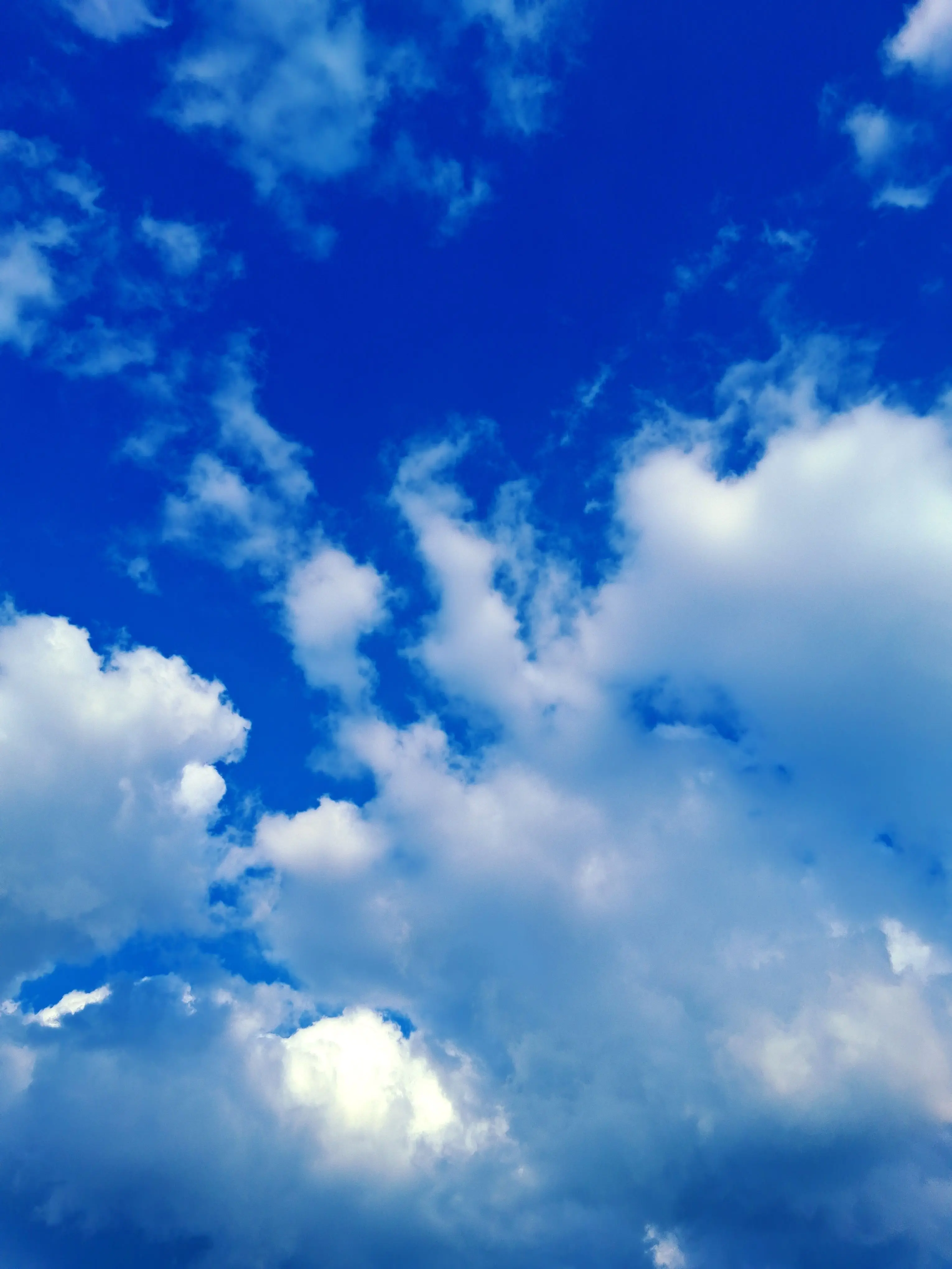 GivingSheaf9842의 수학여행!남녀무리