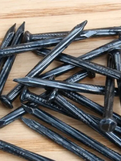 Xzxz의 나 너 말고 5명은 더 있거든~ㅋㅋㅋ