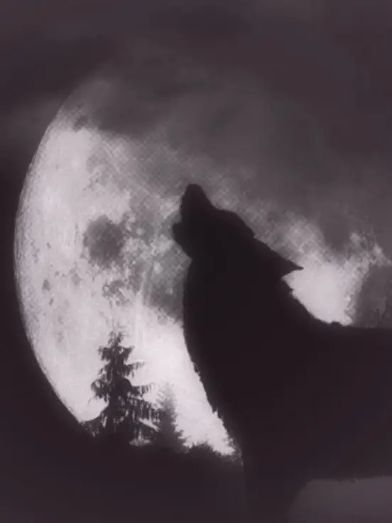 Bill_KaulitzIsMyMan의 ★Lone Wolf★