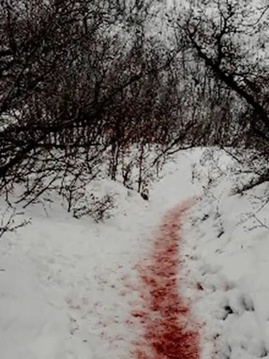 SassyComic8795의 雪山❄️