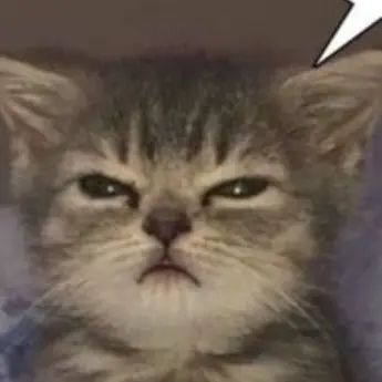 ActiveAtom0157의 이새상에서 유일한 나의 친구들