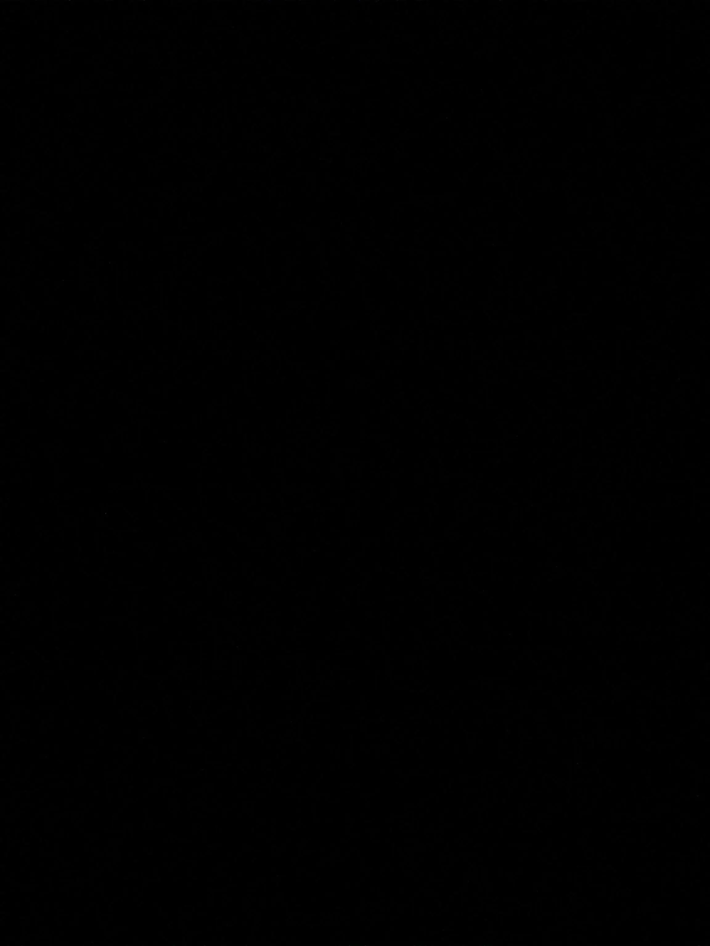 InlandPhoto6533의 日本の飼い猫の貴方。