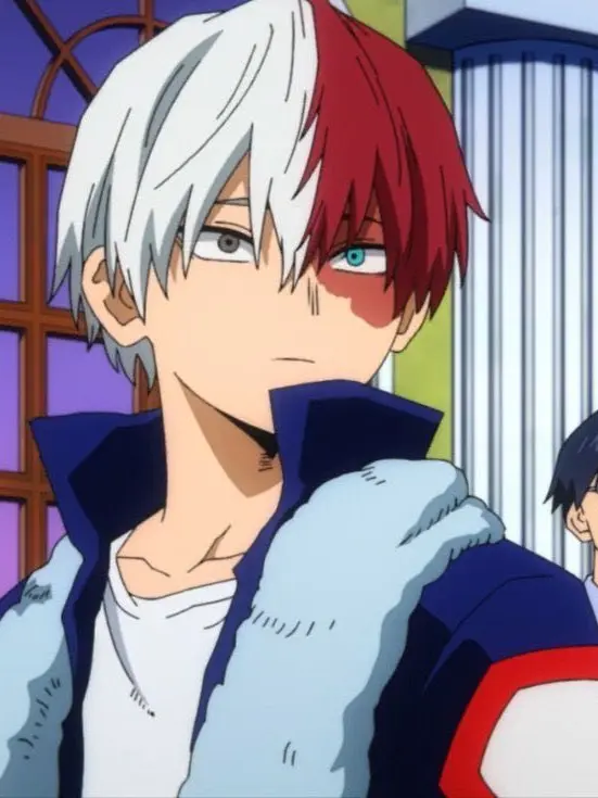 BruteHooks4462의 轟焦凍を惚れさせろ‼️