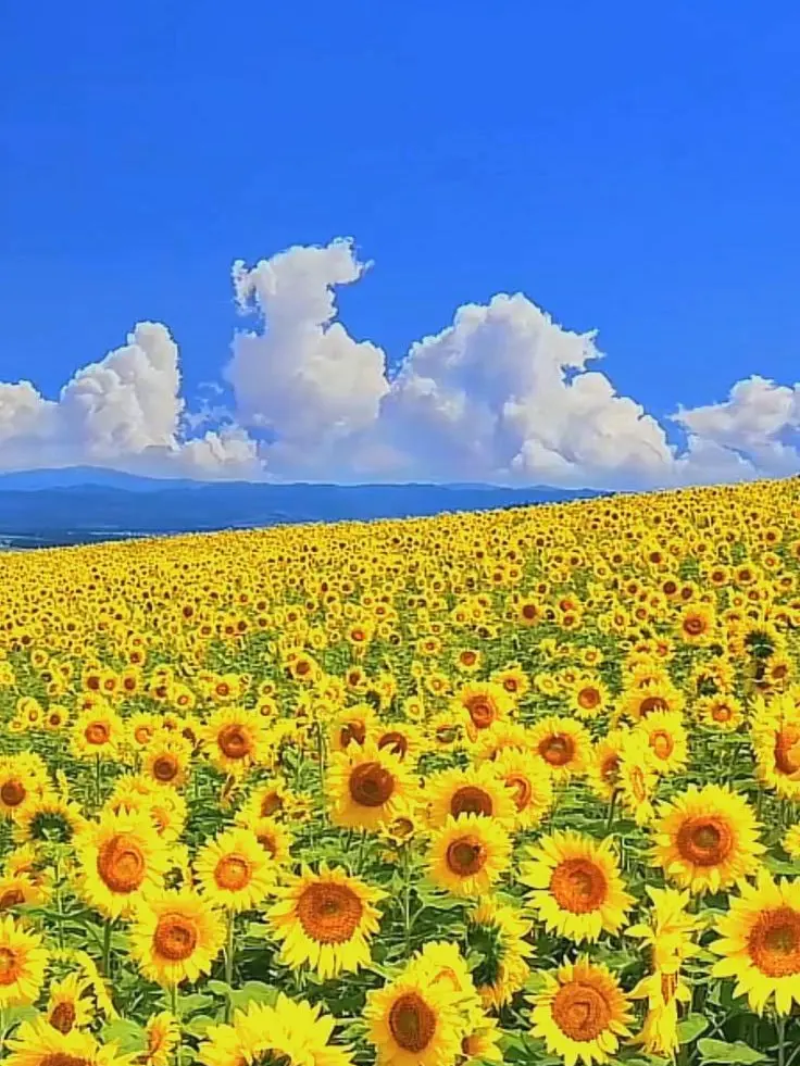 Good_morning1245의 그 누구보다도 찬란한 그대에게..