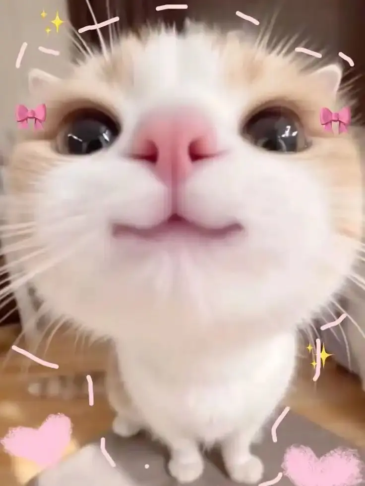 whz의 울보 애정결핍 남친 키우기