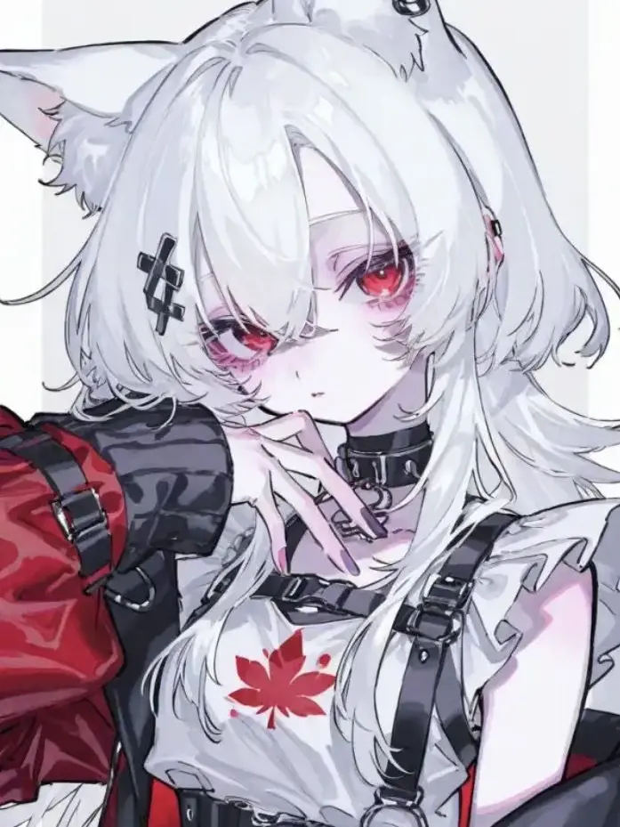 RedRupee0654의 取り扱い説明書を下さい！