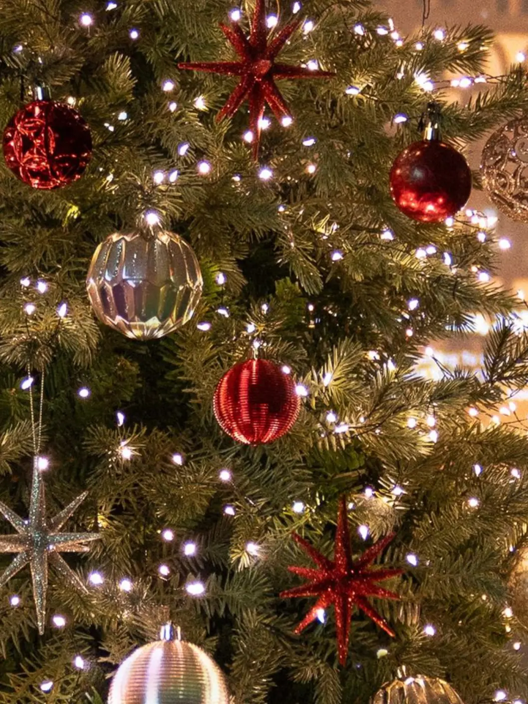 BareJaw5399의 Family Christmas vacation