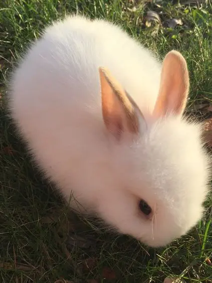 ChunkyRobot4445의 너가 아니면 안될거같아.